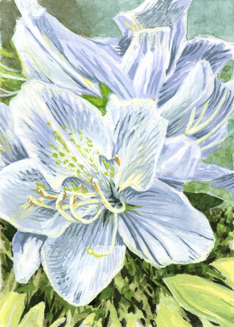 Azalea Series #3