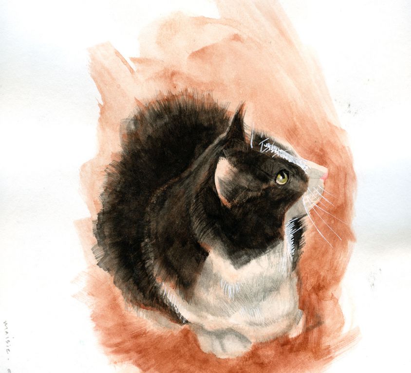 Portrait of Maisie