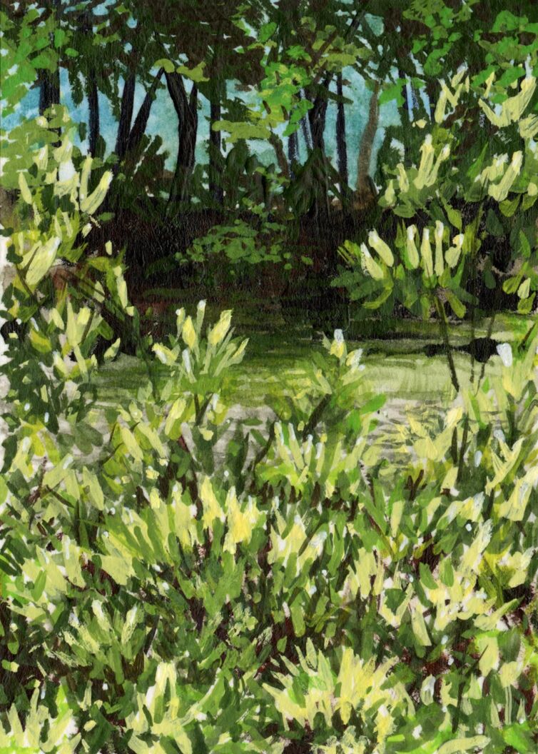 Azalea Series #1