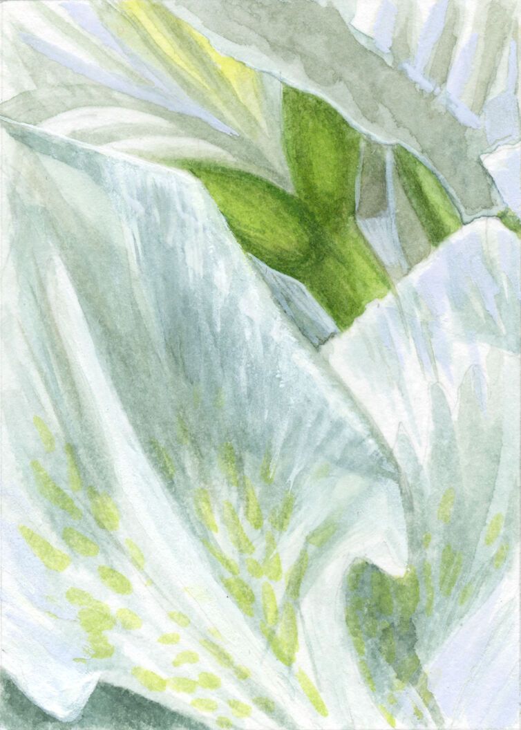 Azalea Series #4