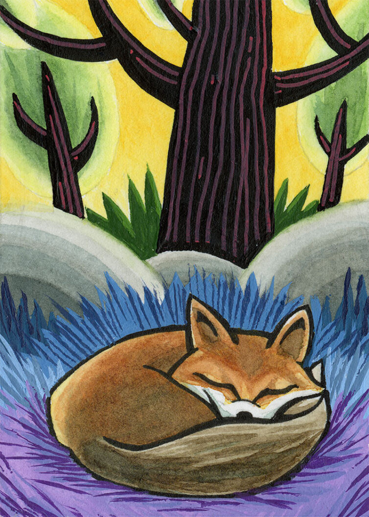 Sleeping Fox